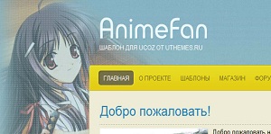 Anime Fan